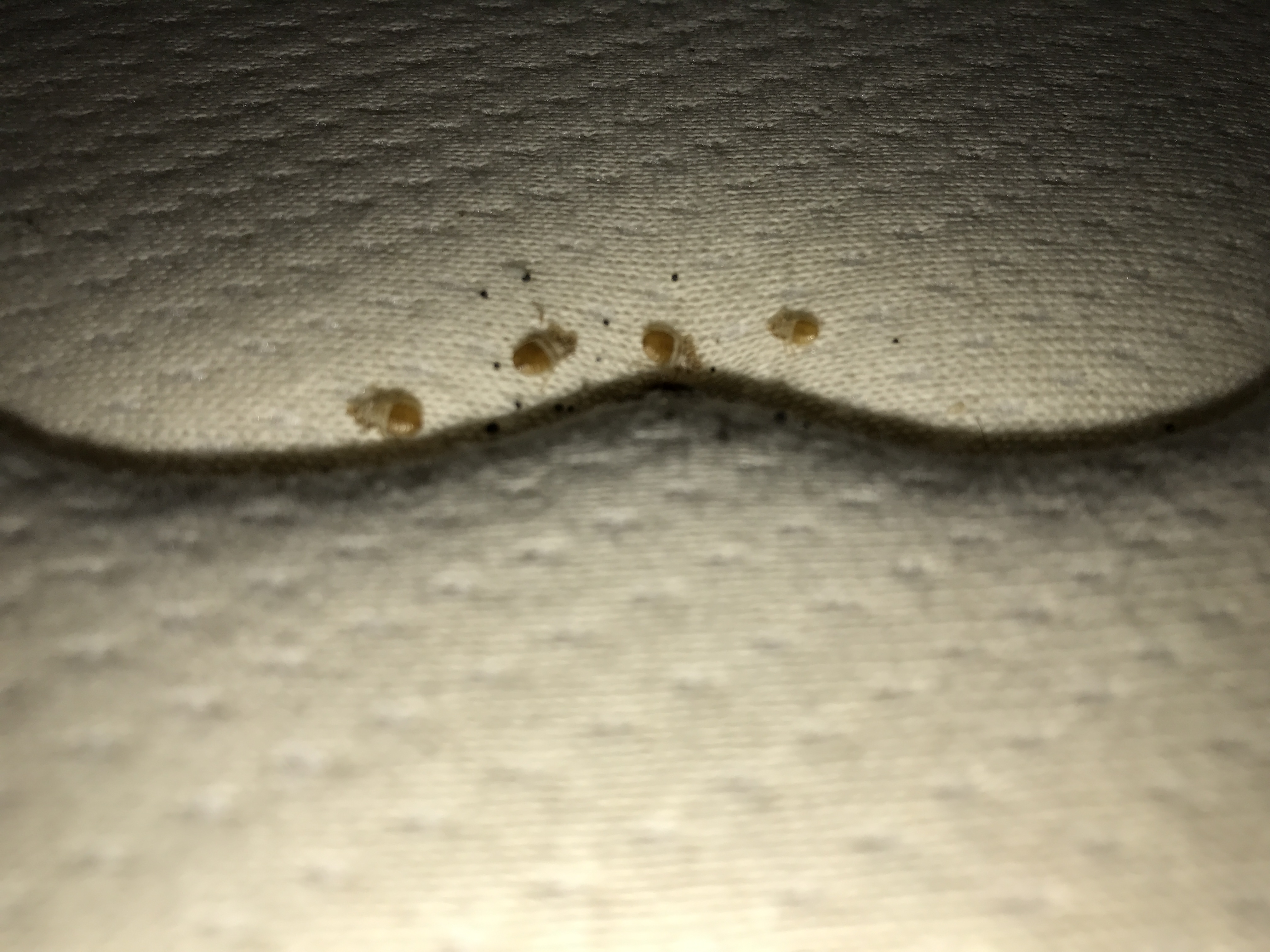 Αυτοψία και διάγνωση